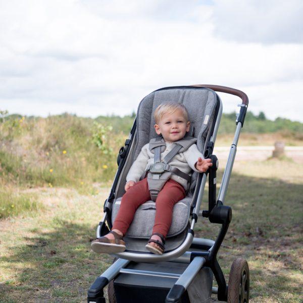 buggy inlegkussen volverwachting Vol Verwachting - Kind in buitenlucht in een buggy met inlegkussens