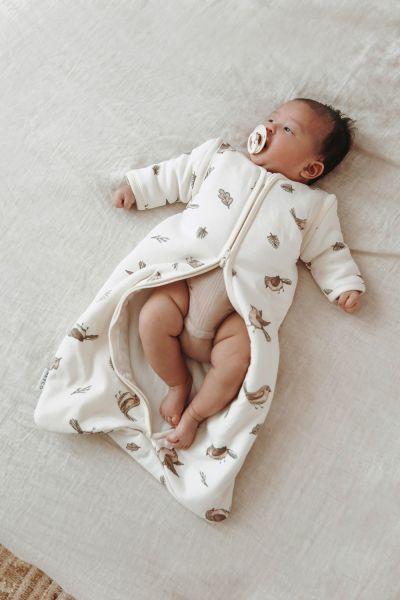 Meyco Baby slaapzak met afritsbare mouwen - Robin - Afbeelding 6